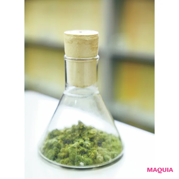 マキア 11月号付録 ローションエサンシエルA＜化粧水＞ 麹菌