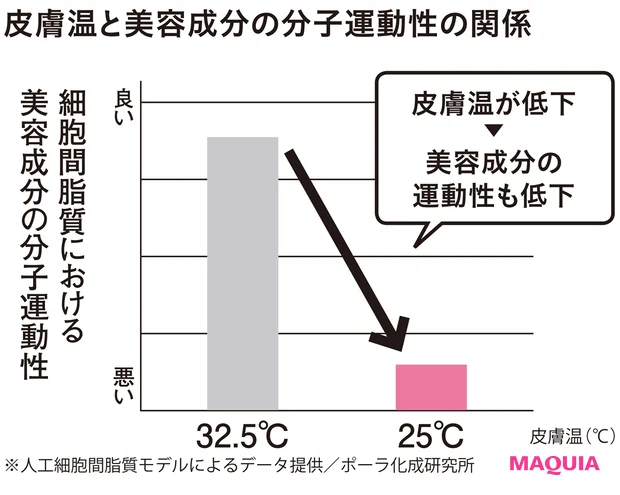 皮膚温と美容成分の分子運動性の関係