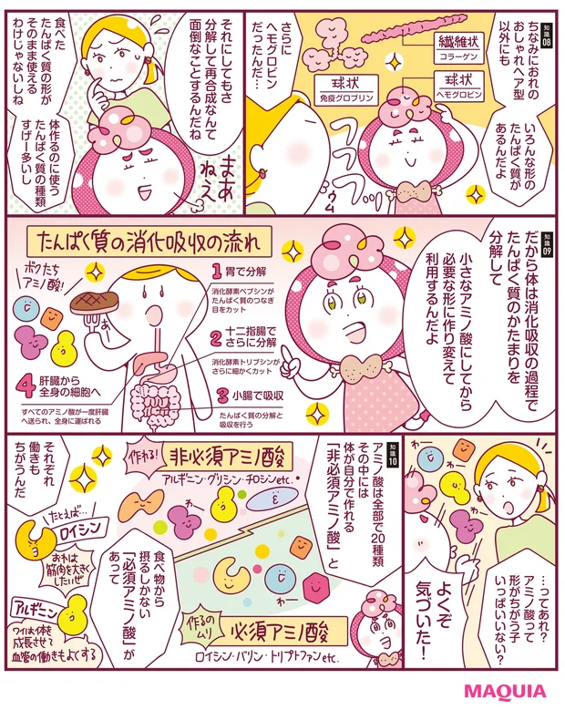 たんぱく質の知識を深めよう