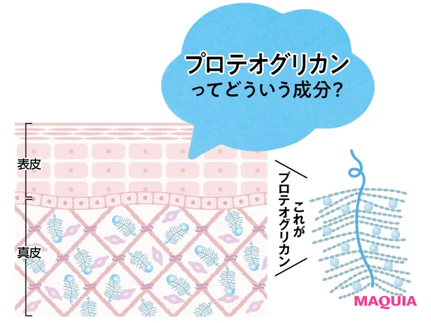 【次世代美容成分】プロテオグリカンとは?重要性や取り入れ方を小田ユイ子さんが取材!