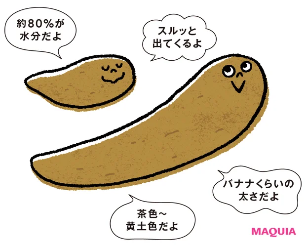 腸活 うんちの状態チェック 満点うんち「約80%が水分だよ」「スルッと出てくるよ」「バナナくらいの太さだよ」「茶色〜黄土色だよ」