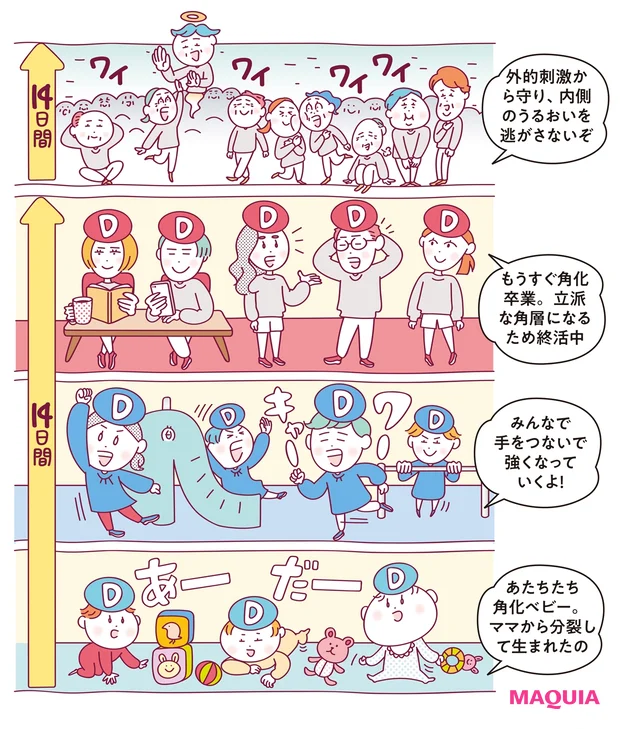 私と角層、28日のストーリー