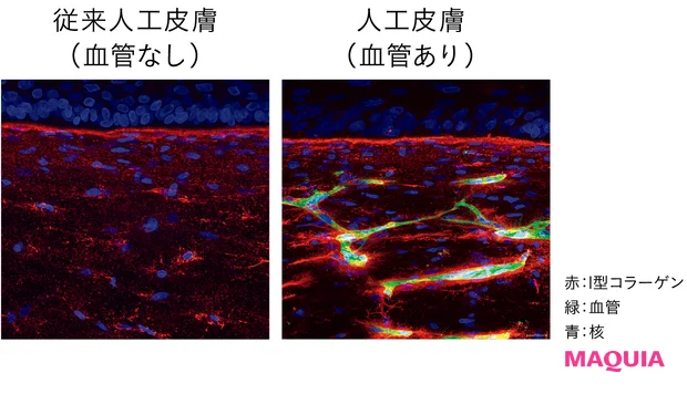 ロート製薬 オバジX バイタライズ リフトクリーム 最新美容の裏側 ここがすごい2