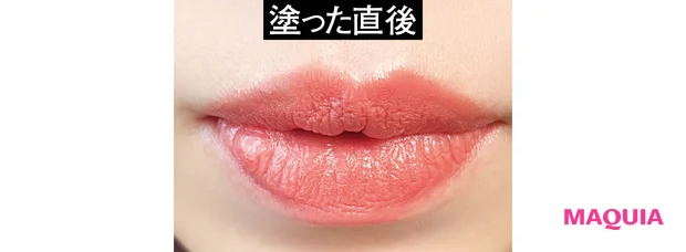 ヴィセ ネンマクフェイク ルージュ Ⅱ 時間耐久テスト 塗った直後