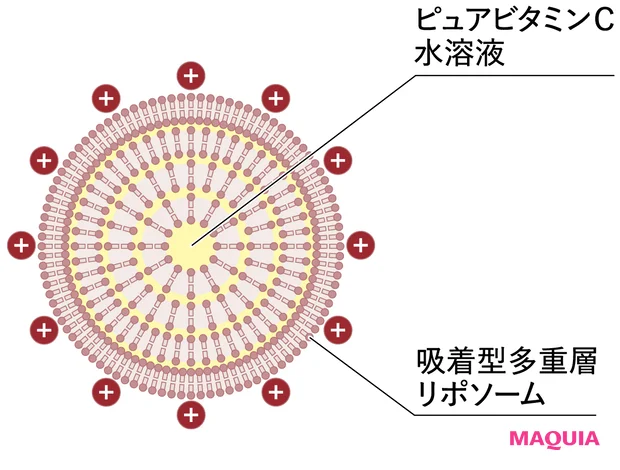 Lypo-C 独自の吸着型リポソーム技術を開発 ピュアビタミンCを優しく、じっくりと肌へ