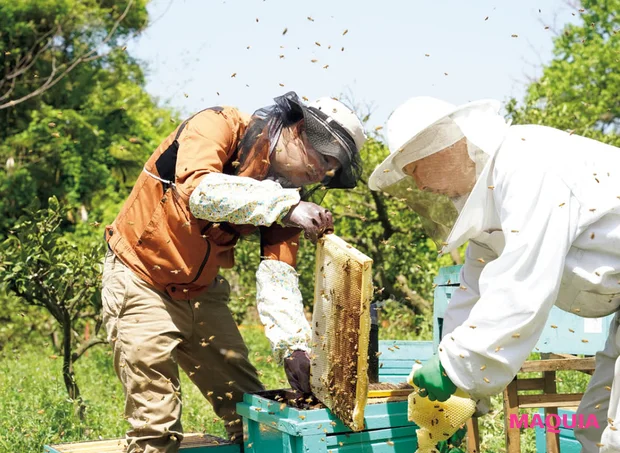 ハニーハンター 日本の豊かな「植生」を活力にした国産のはちみつ 優れた養蜂家さんがつくるはちみつ