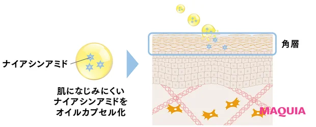 オルビス ザ リンクルセラム 最新美容 シワ改善美容液 肌になじみにくいナイアシンアミドをオイルカプセル化 角層