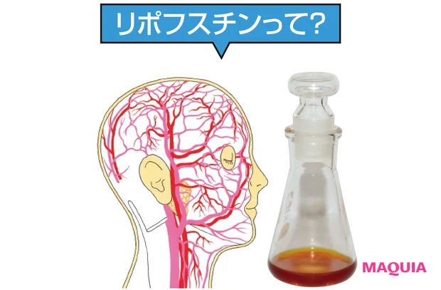 肌をにごらせる血管の「茶渋」