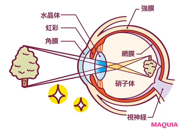 物が見えるしくみ
