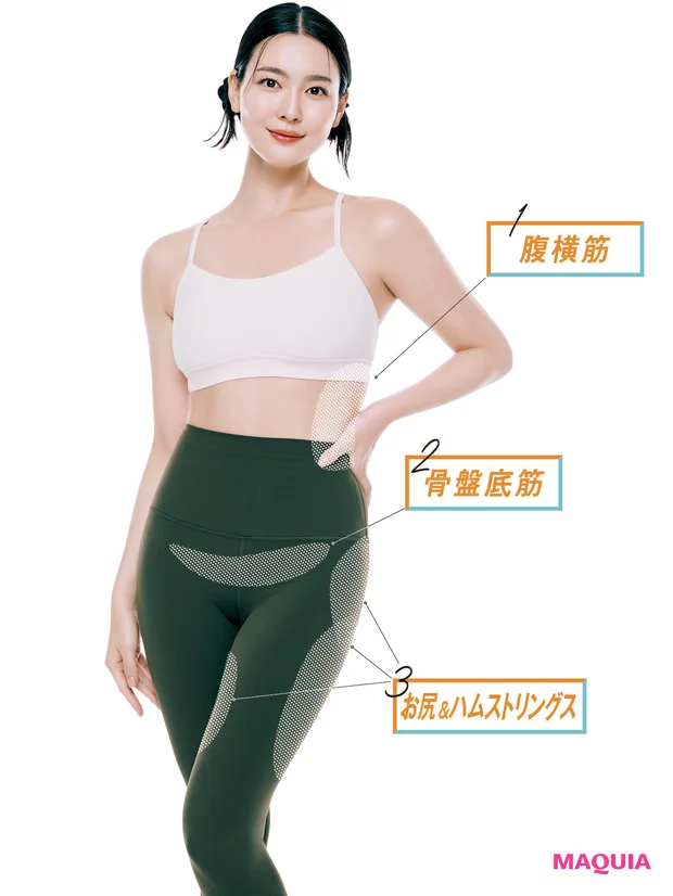 筋活 女性が大事にしたい筋肉 腹横筋 骨盤底筋 お尻&ハムストリングス