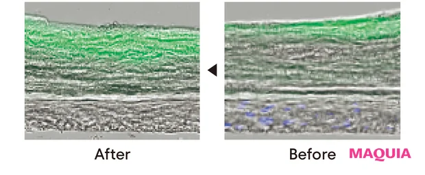 お値打ちなのに効果大。PRが本気で推すプチプラスキンケアの秘密_10