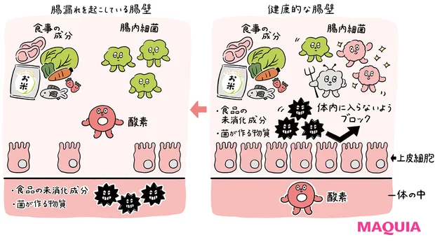“消化だけじゃない”腸のチカラ。腸と脳の関係から腸活の基本まで、専門家がやさしく解説!_3