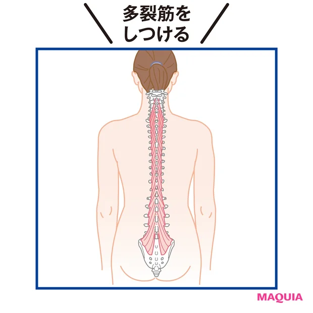 多裂筋をしつける