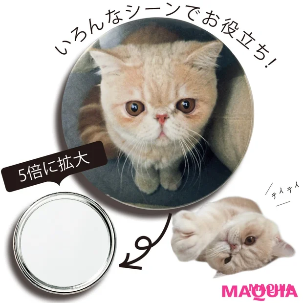 人気猫マッシュが手鏡に！ 「MAQUIA」8月号の付録は、美容好き必携の拡大ミラー