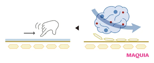 大人にこそ使ってほしいプチプラ洗顔コスメ。suisai、オルビスユー、トランシーノも!_6