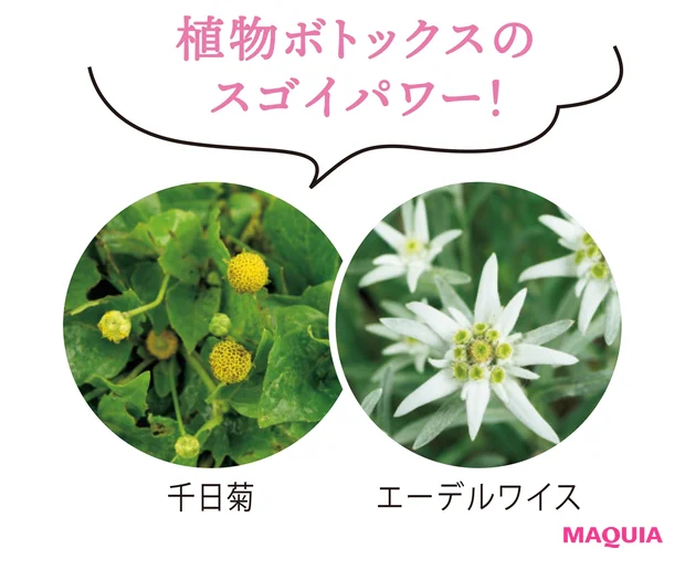 植物ボトックスのスゴイパワー!
