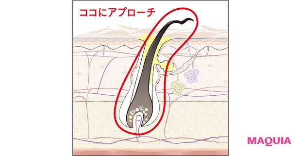 ココにアプローチ