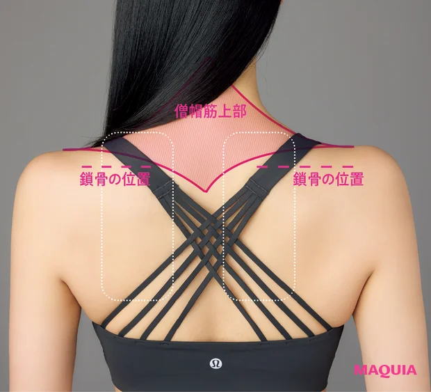 肩こりのメカニズム 僧帽筋上部と鎖骨の位置