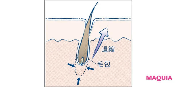 マキア エイジングケア おすすめ POLA ポーラ B.A クリーム ミルク ローション 毛包の再生力