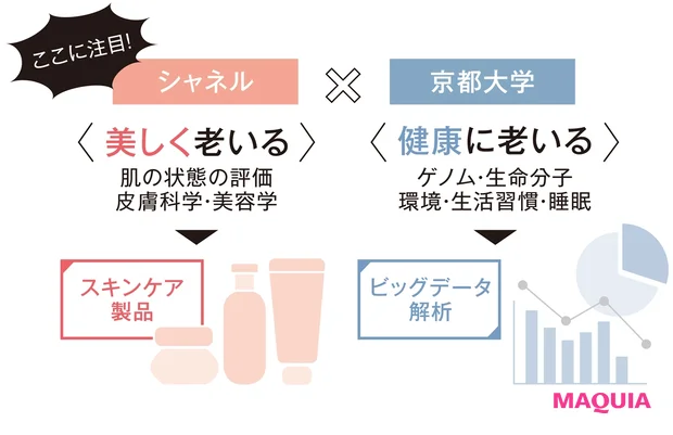 ここに注目!シャネル×京都大学