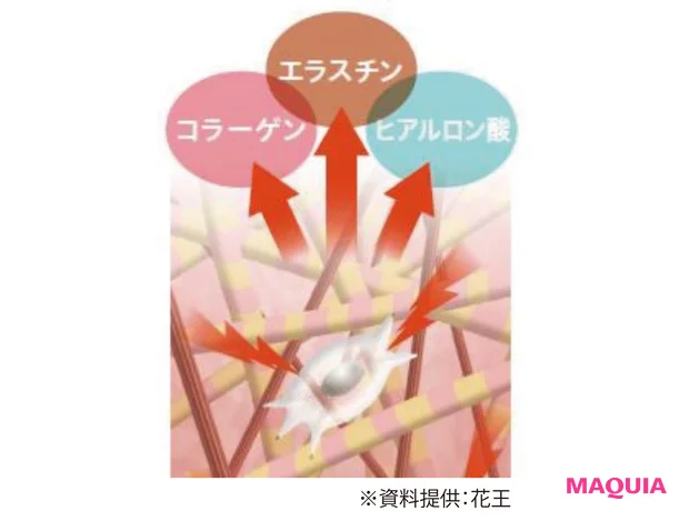 炭酸の最新知見