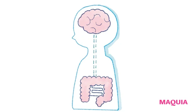 腸内環境のイラスト