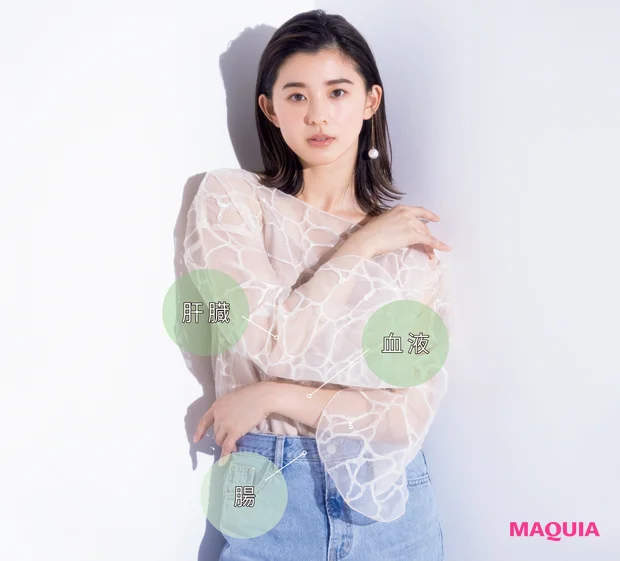 血液、肝臓、腸の働き