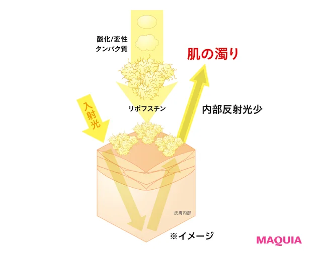 なぜ選ばれた? オバジC、コスメデコルテほか、ベスコス受賞コスメの「成分力」×「処方力」を深掘り【MAQUIAベストコスメ2025上半期】_20