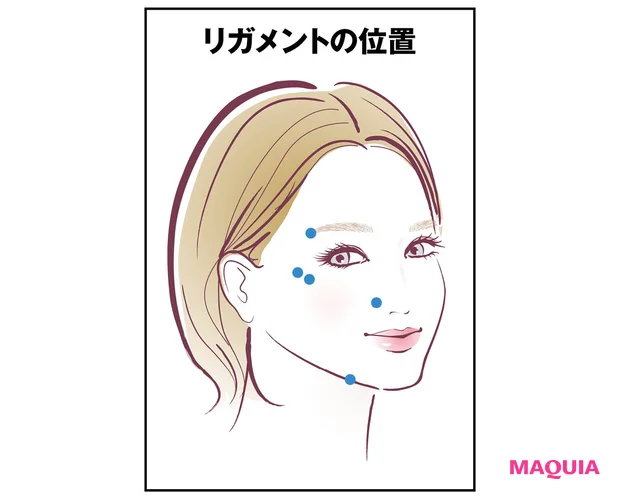 最新美容医療 ヒアルロン酸注入 リガメントの位置