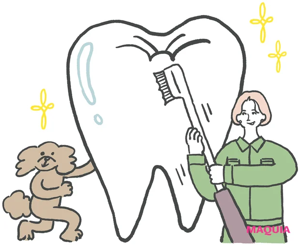 歯と口腔治療の最前線 オーラルケア 歯磨き