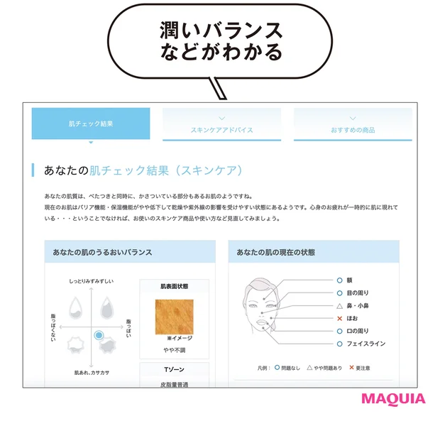 URL https://www.shiseido.co.jp/beauty/check/skincare/start.html