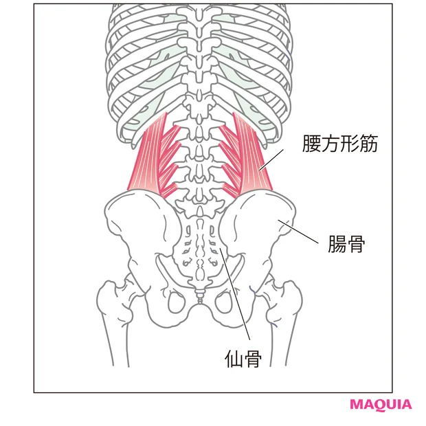 “くびれ母ちゃん”の便活ダイエット!出せるカラダへの第一歩、姿勢改善 ほぐし&ストレッチ_5