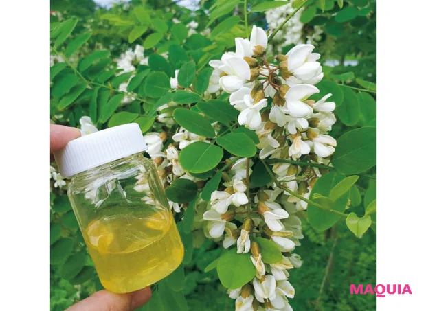 ハニーハンター 日本の豊かな「植生」を活力にした国産のはちみつ とれたての新蜜