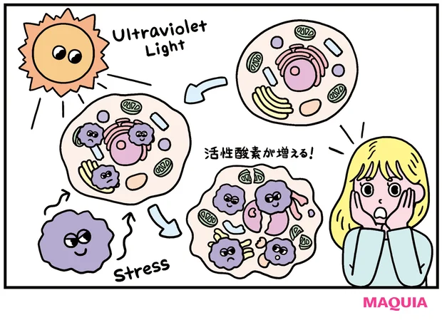 酸素が美肌に大事な理由って？ 活性酸素を恐れるよりも、きちんと酸素を取り込むことが重要！
_4