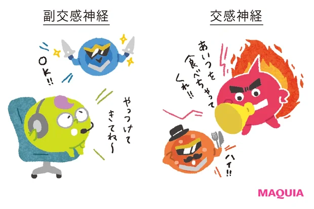 副交感神経