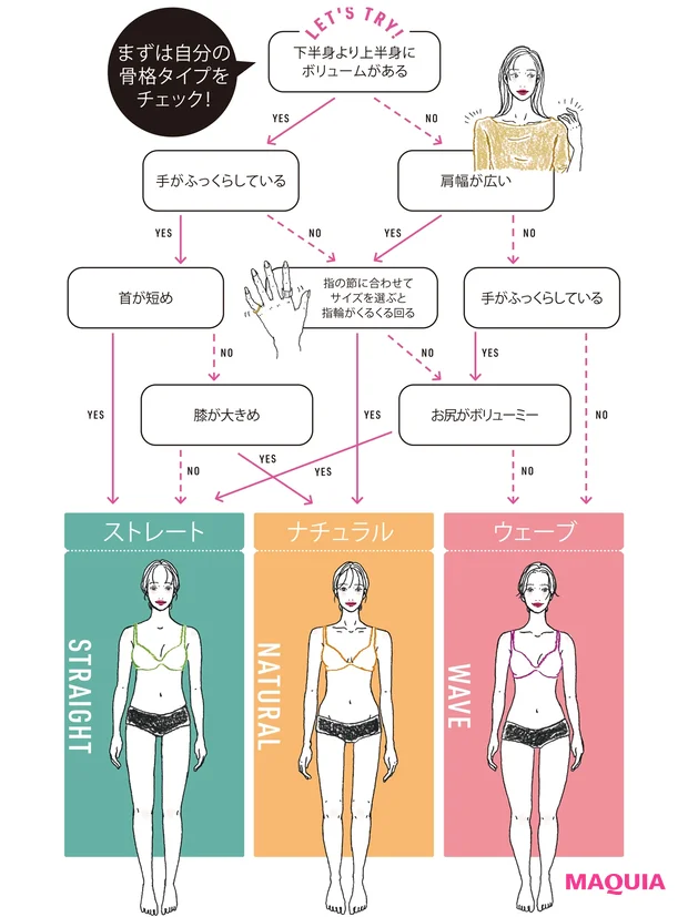 骨格タイプ診断チャート
