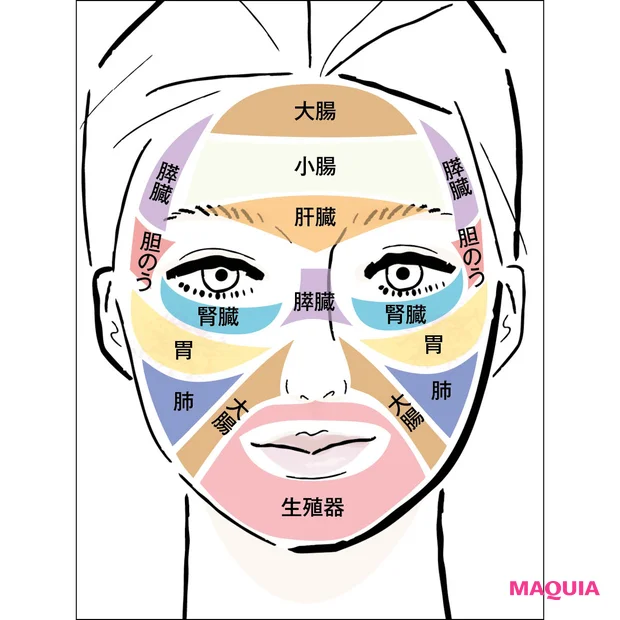 顔の反射区 第1の地図 フェイスマッピング