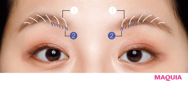 薄い眉のやさしげ眉メイク アップ