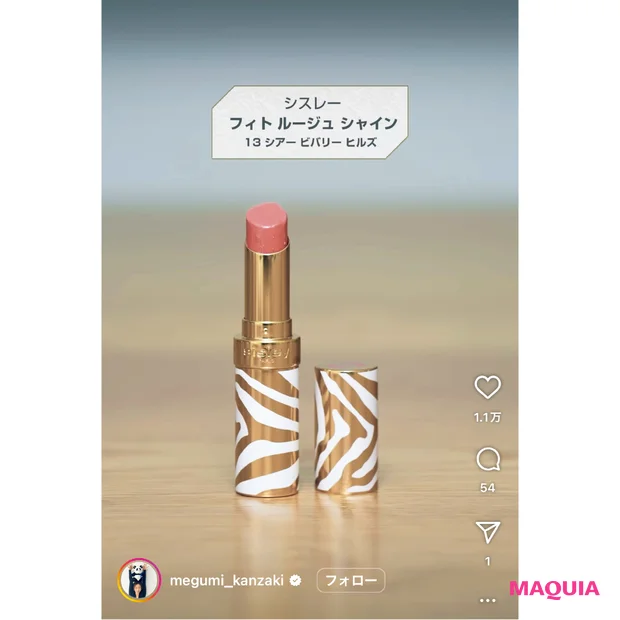 神崎 恵さんのこれ いいよ図鑑のインスタ画面 シスレー