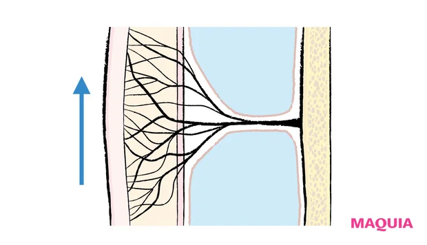 最新美容医療 ヒアルロン酸注入 リガメントを支えて補強する アフター