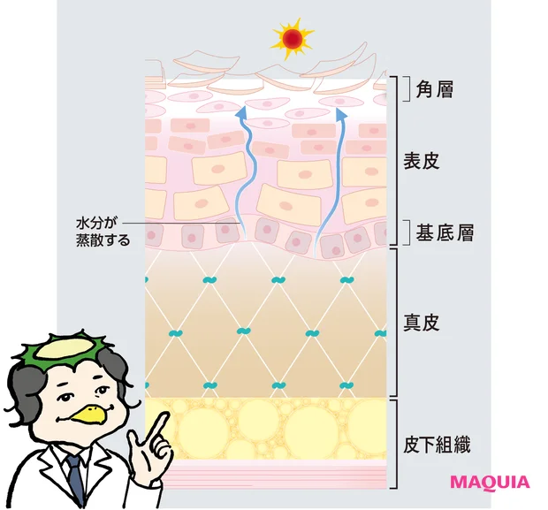そのどんより感の原因は、メラニンor乾燥？ くすみに効く成分は肌トーンから見極めよう_11
