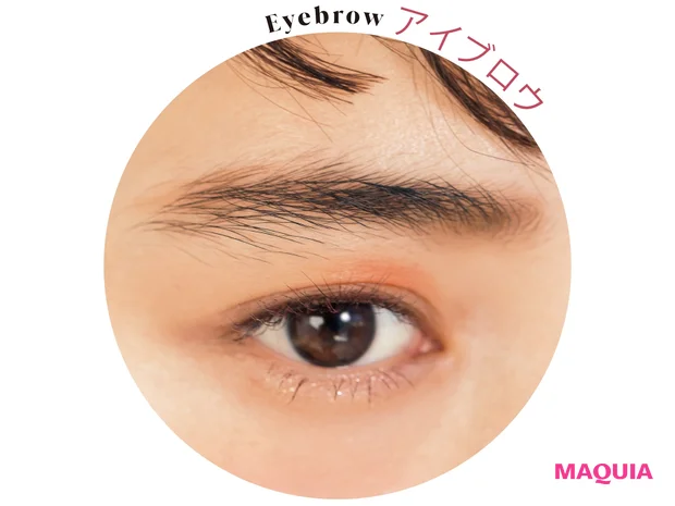 HOW TO:右上をブラシにとり、眉に使用。自眉の形にそってふわっと広げ、優しい印象に仕上げると、その他パーツが生きる。