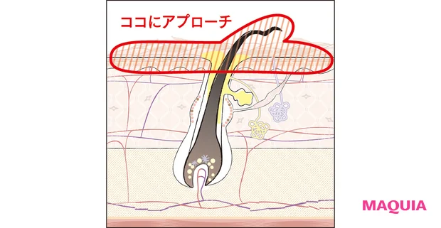 ココにアプローチ