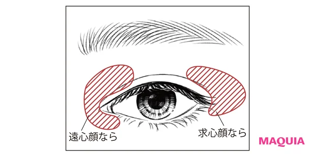 あなたは遠心顔?求心顔?