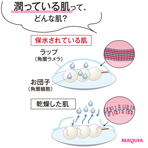 潤っている肌って、どんな肌?