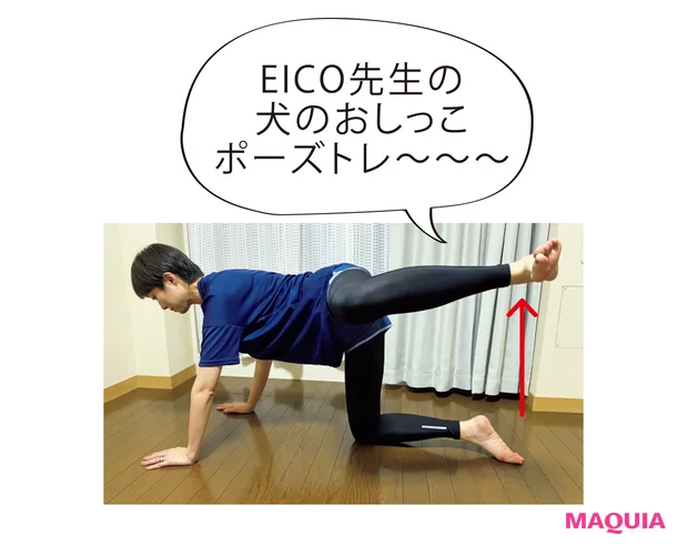 EICO先生の犬のおしっこポーズトレ~~~