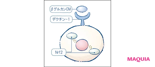 秋 新作 スキンケア LANCÔME ランコム ジェニフィック アルティメ エッセンス ローション βグルカンCM 2