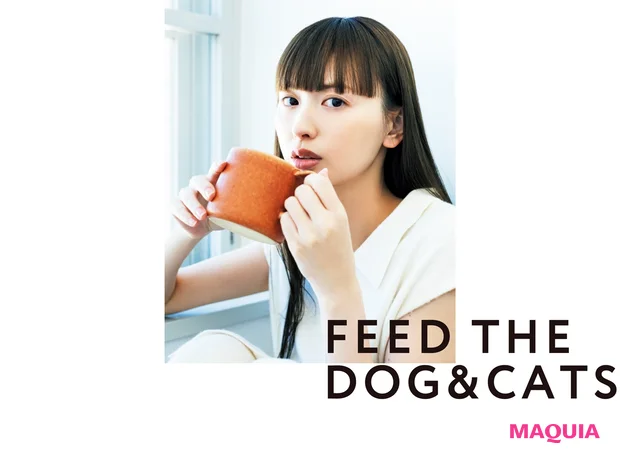 FEED THE DOG&CATS