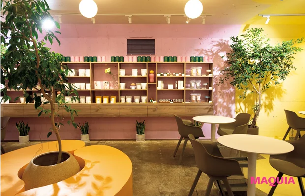 Cafe Bar NeRoLi herb 表参道 ハーブ 内観