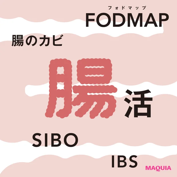 【腸活の最前線】フォドマップ・腸カビ・SIBO・IBSって？ 最新キーワードを解説